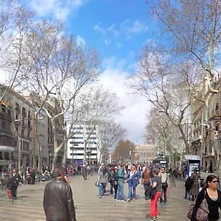 Toledano Ramblas * Barcelona